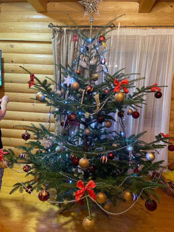 Вілла Софі Верховина Екстериор снимка